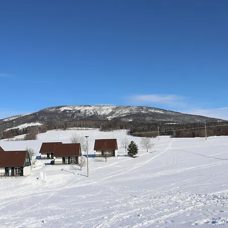 Holiday home Hill 41 By Interhome Cerny Dul